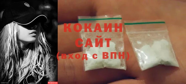 ПСИЛОЦИБИНОВЫЕ ГРИБЫ Каменка