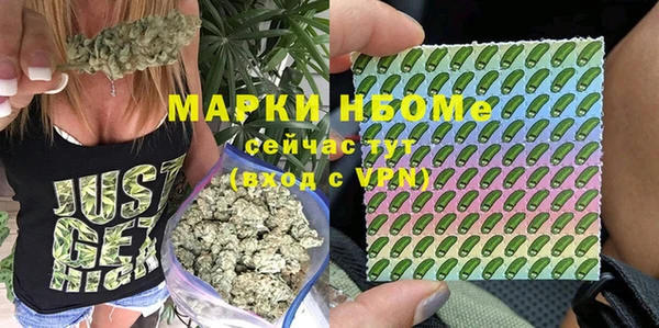 скорость Каменногорск