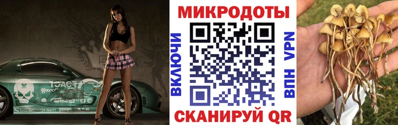 Купить  Колпашево  Галлюциногенные грибы MAGIC MUSHROOMS 
